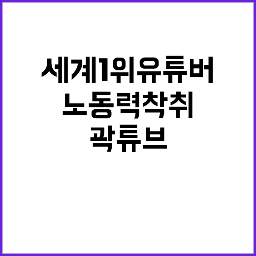 노동력 착취 세계 …