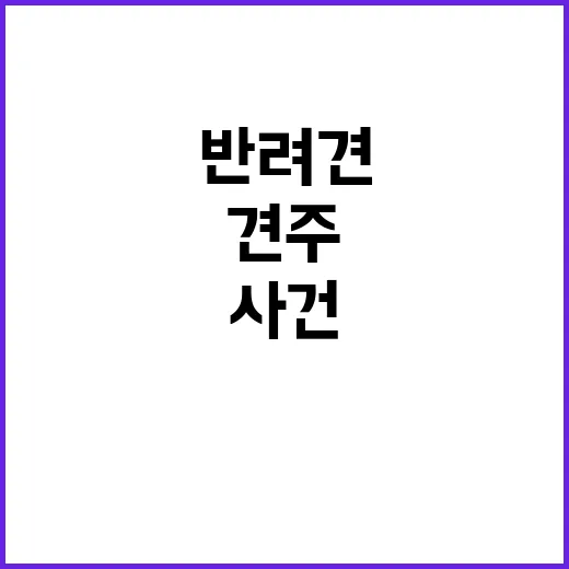 반려견 길고양이 충…