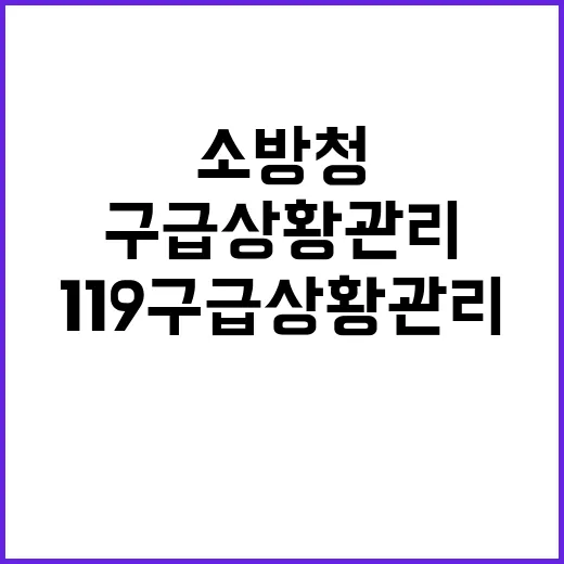 소방청 구급대원 119구급상황 관리로 생명 구원!