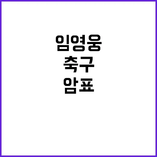 임영웅 프로야구 자…