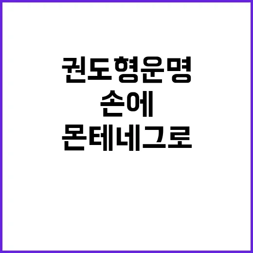 몬테네그로 판결 권도형 운명 국 법무장관 손에!