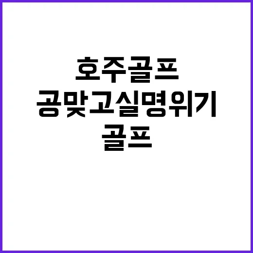 호주 골프 스타 공 맞고 실명 위기?