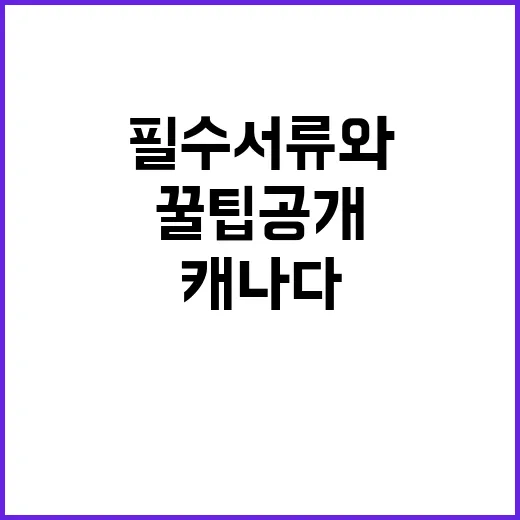 캐나다 이민 필수 서류와 꿀팁 공개!