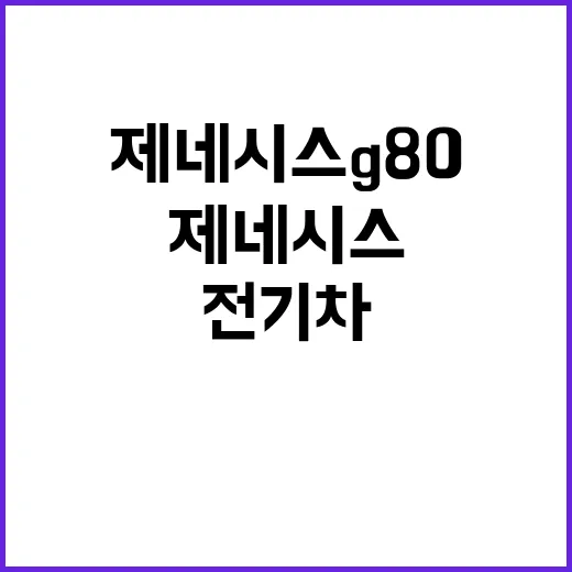 제네시스 G80 전기차 혼다 파일럿 혁신의 시작!