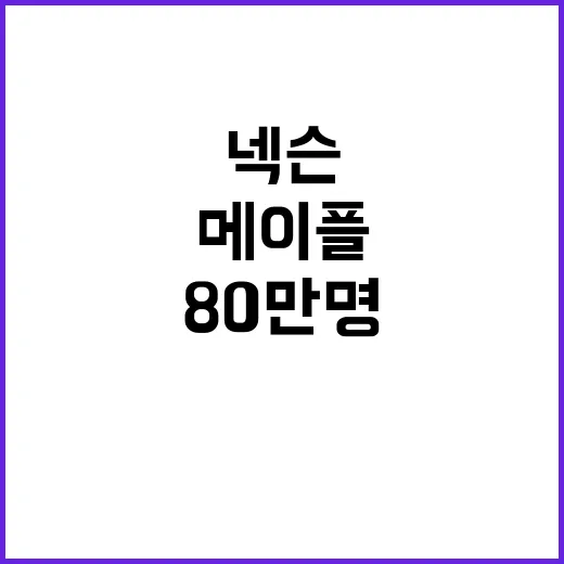 넥슨 보상 메이플 용사 80만 명 219억 원