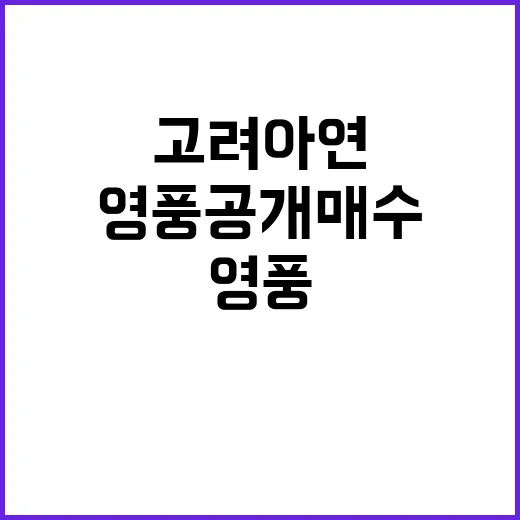 고려아연 이사회 논란 영풍 공개매수 반대!