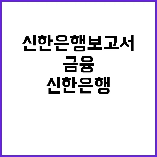 신한은행 보고서 금융 혁신의 시작