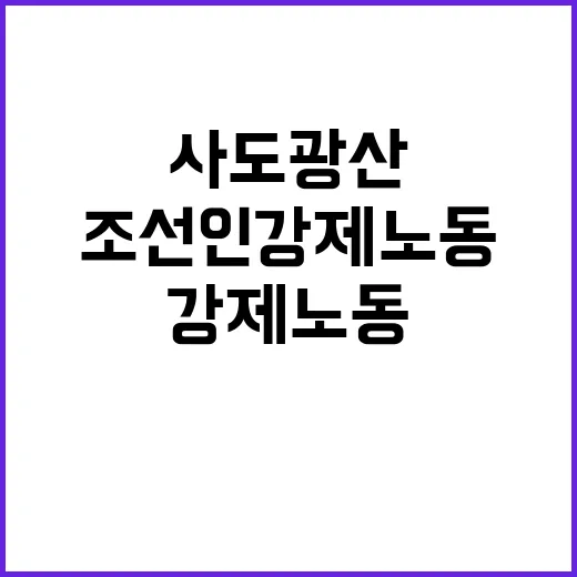 사도광산 전시물 조선인 강제노동 논란