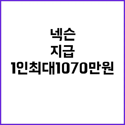 넥슨 아이템 보상 1인 최대 1070만원 지급!