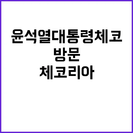 체코리아 윤석열 대…