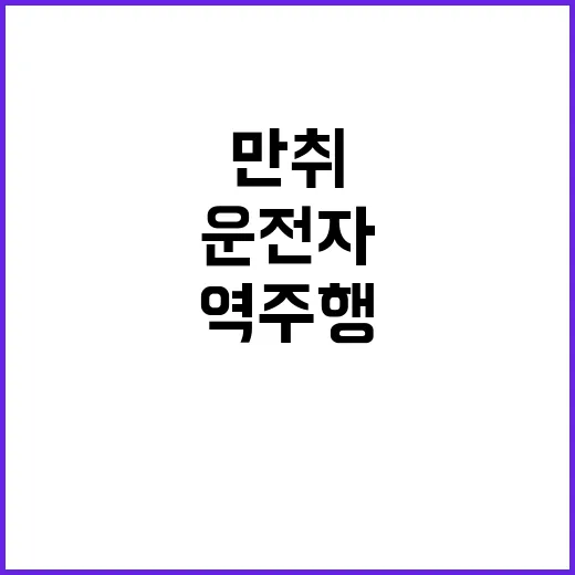 추석 역주행 사고 …