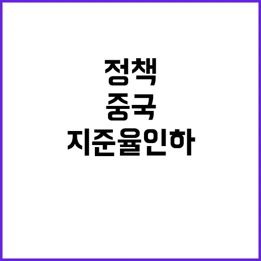 중국 유동성 공급 대책 발표 지준율 인하 정책금리↓