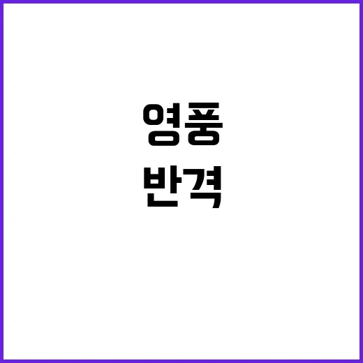 고려아연 반격 영풍·MBK의 충돌!