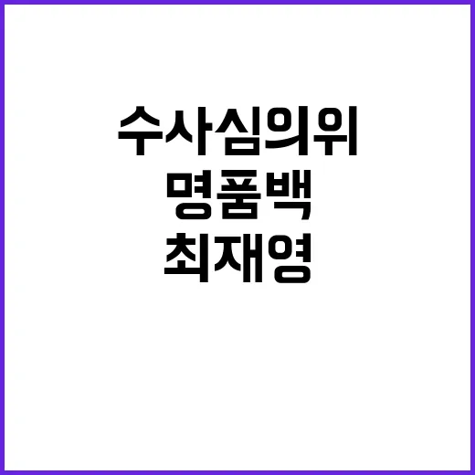 명품백 수사심의위 최재영 결정! 첩보와 직무 쟁점