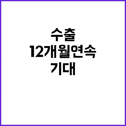 수출 호실적 12개…