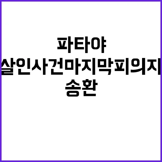 파타야 살인사건 마지막 피의자 국내 송환!