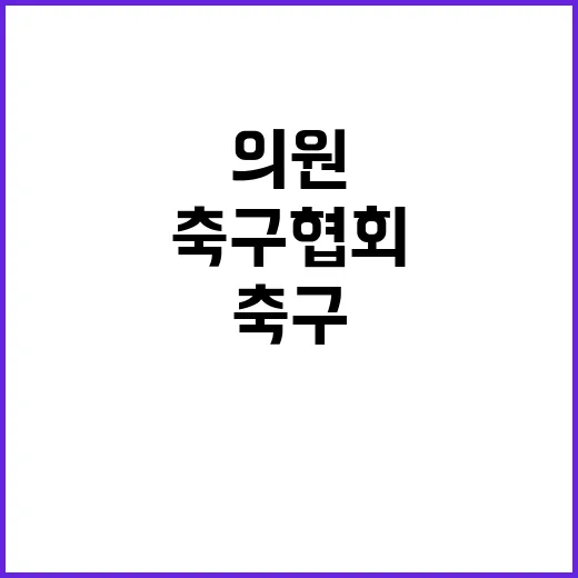 축구협회 PPT 논란 의원들의 충격 반응