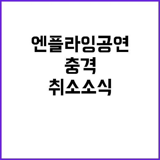 엔플라잉 공연 취소 소식에 팬들 충격

