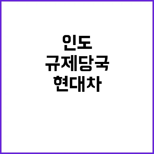 현대차 IPO 인도…