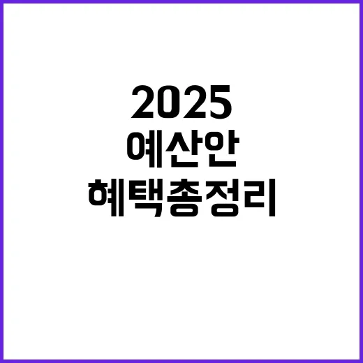 2025 예산안 부…