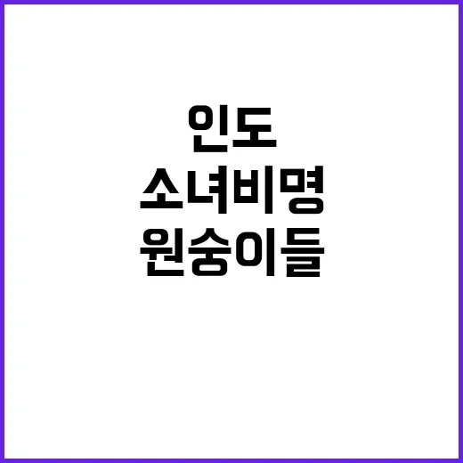 인도 소녀 비명 원…