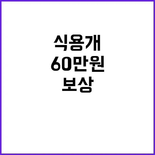 식용개 보상 60만원 2027년 개고기 금지!