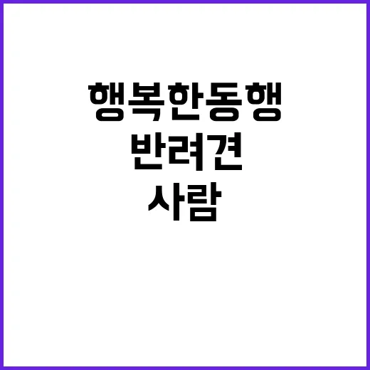 행복한 동행 사람 반려견 기쁨 비밀!