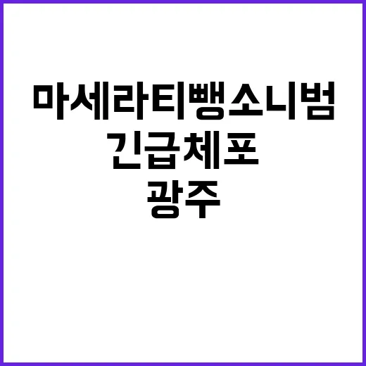 광주 마세라티 뺑소니범 해외도주 시도 경찰 긴급체포