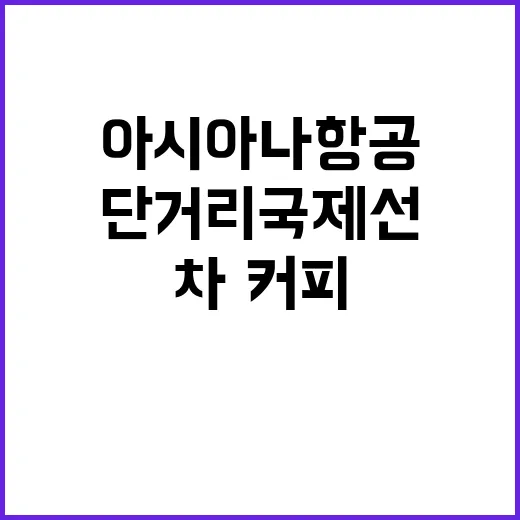 아시아나항공 단거리…