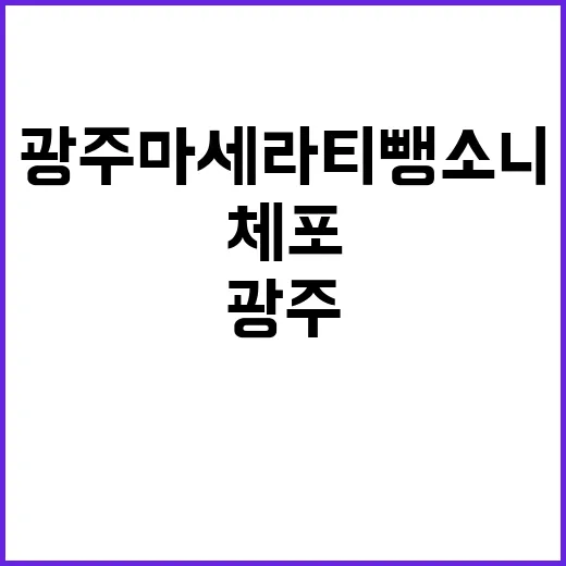 광주 마세라티 뺑소니 체포된 범인 누구?