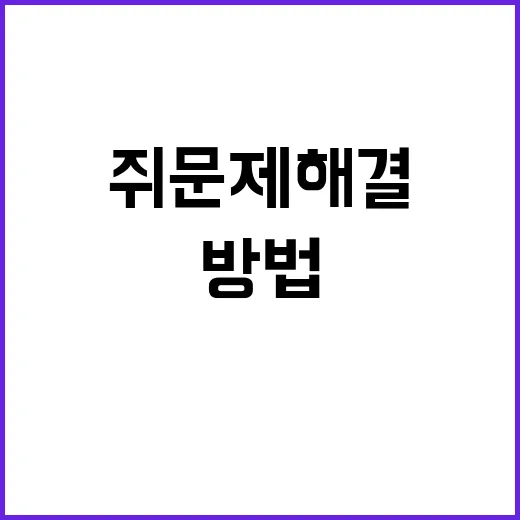 쥐 문제 해결 이 도시의 기발한 방법!