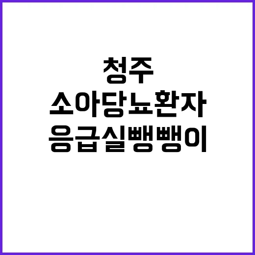 청주 소아당뇨 환자 인천 이송 응급실 뺑뺑이