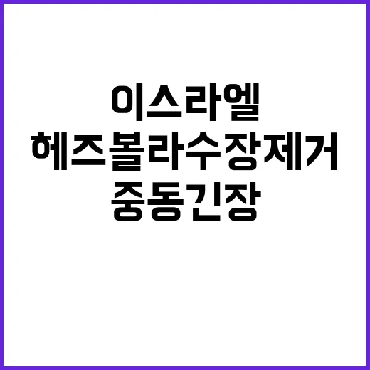 이스라엘 제거 발표…