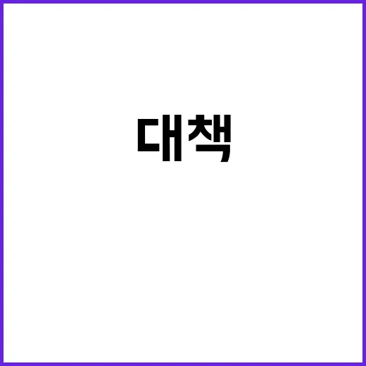 도시 쥐 번식 새 피임 대책 발표!