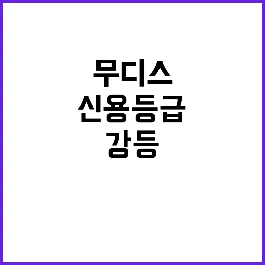 이스라엘 신용등급 …