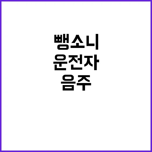 음주 뺑소니 마세타리 운전자의 미스터리 구속