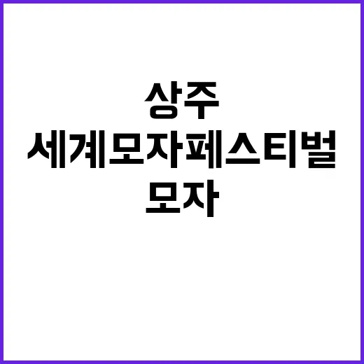 상주모자 세계모자페스티벌 당신의 모자