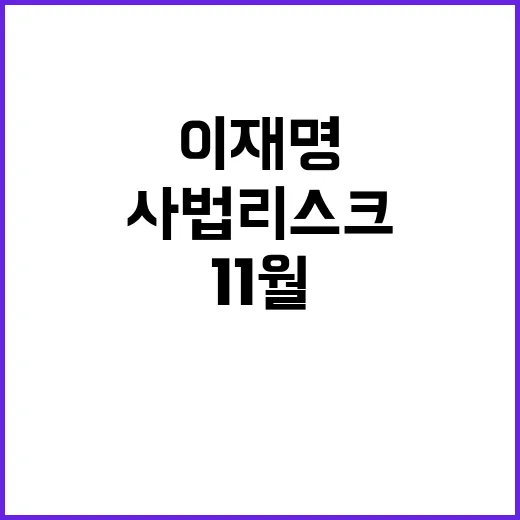 운명의 11월 이재명 유무죄 결정 사법리스크 분수령