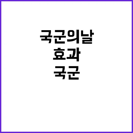 국군의날 효과 세금…