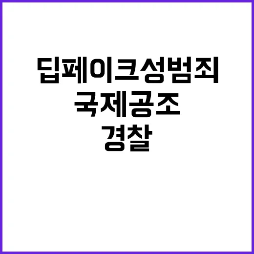 딥페이크 성범죄 경찰 텔레그램 협력 국제공조 추진