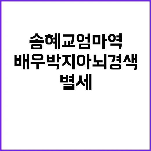 송혜교 엄마 역 배우 박지아 뇌경색으로 별세