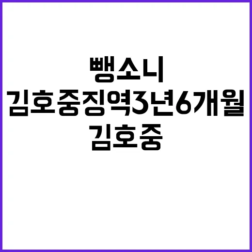 뺑소니 김호중 징역 3년6개월 선고