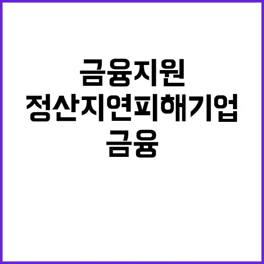 금융 지원 정산 지연 피해 기업의 희망!