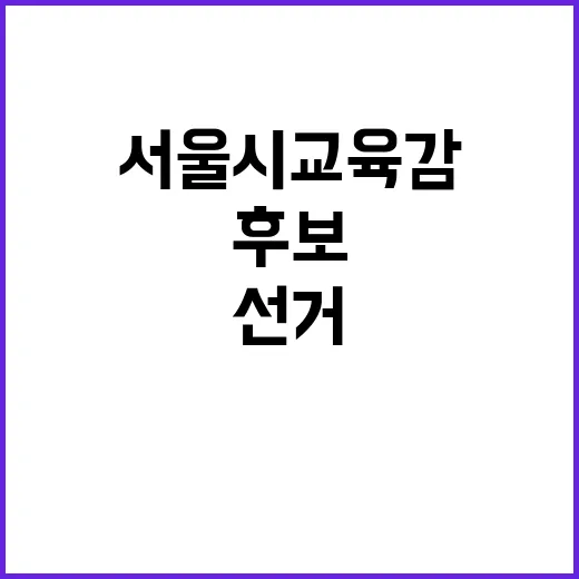 서울시교육감 선거 …