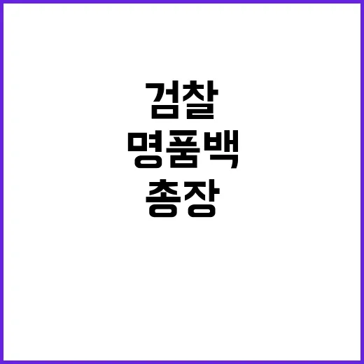 명품백 논란 검찰총…