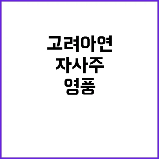 고려아연 자사주 매…