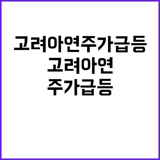 고려아연 주가 급등 급락 투자자들 경악