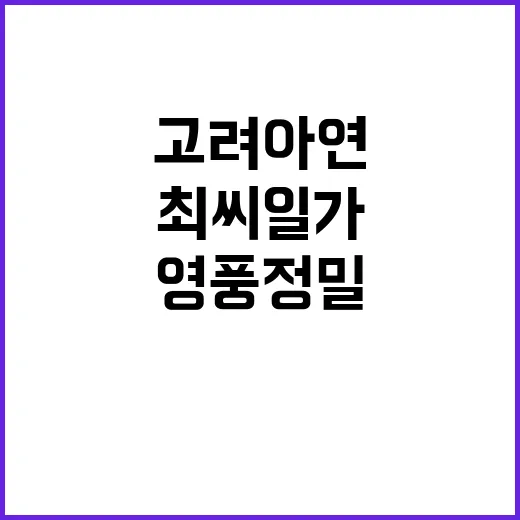 고려아연 분쟁 최씨…