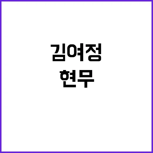 김여정 발언 현무5 기형 달구지 비유 논란