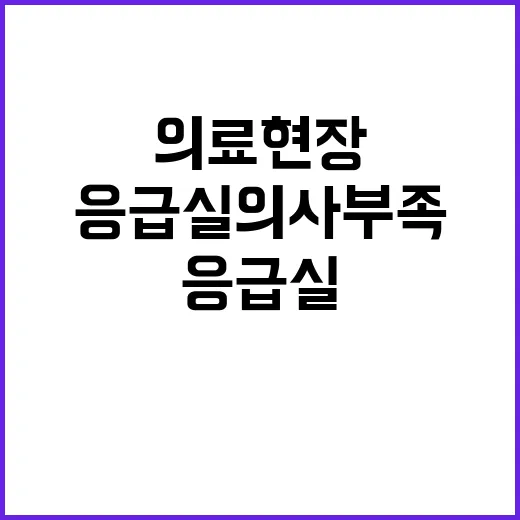 부산 응급실 의사 …